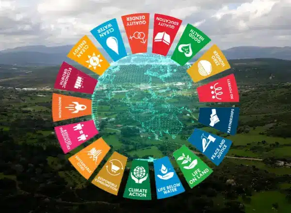 sustainability wheel